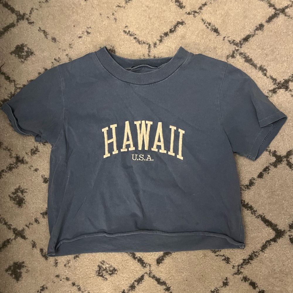 BRANDY MELVILLE hawaii cropped t-shirt